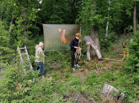Vorbereitungen für die Ausstellung "Waldmomente" abgeschlossen