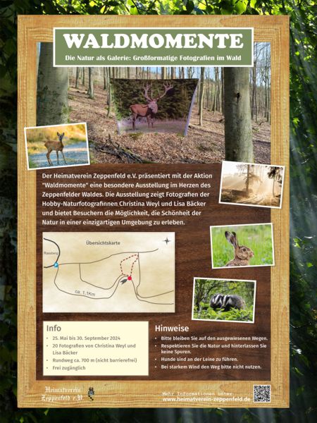 waldmomente flyer1